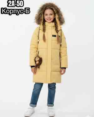 Изображение 1